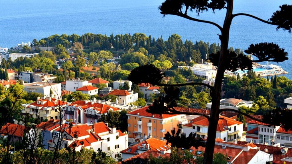 A coastal town with red-roofed houses and green trees, bordered by the blue sea, captures the Highlights of Croatia: Mainland to Coast. A tall plant with sparse leaves stands in the foreground, partly obscuring this calm and sunlit scene.