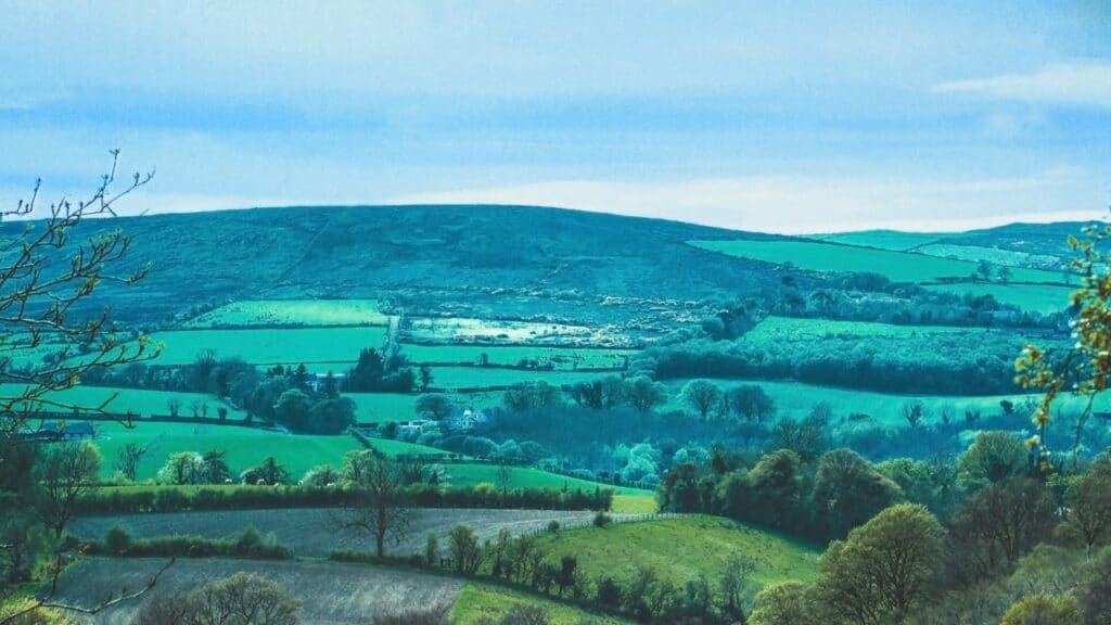k mitch hodge KmaHtG5j4qU Ness Woods Park Londonderry Northern Ireland unsplash