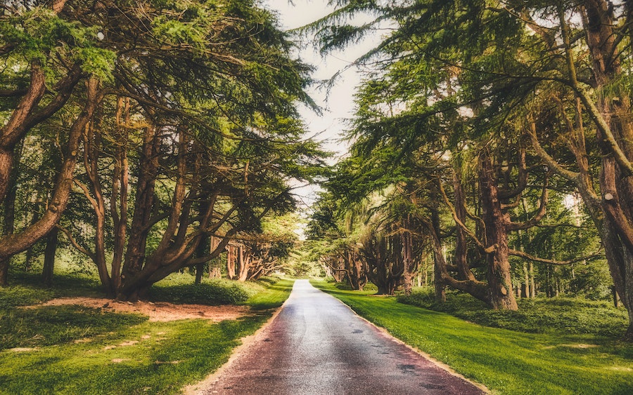 k mitch hodge 3VZWwFBWXaw unsplash