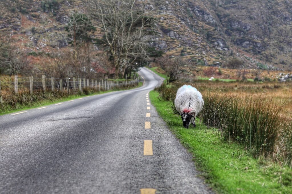 rory hennessey SLaQTgrtRao unsplash