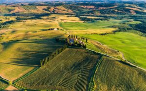 Morning sunlight drone view of a Tuscan winery
