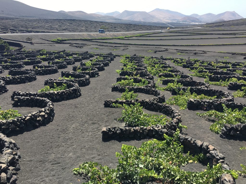 la geria gfde79dafa 1920 spain winery