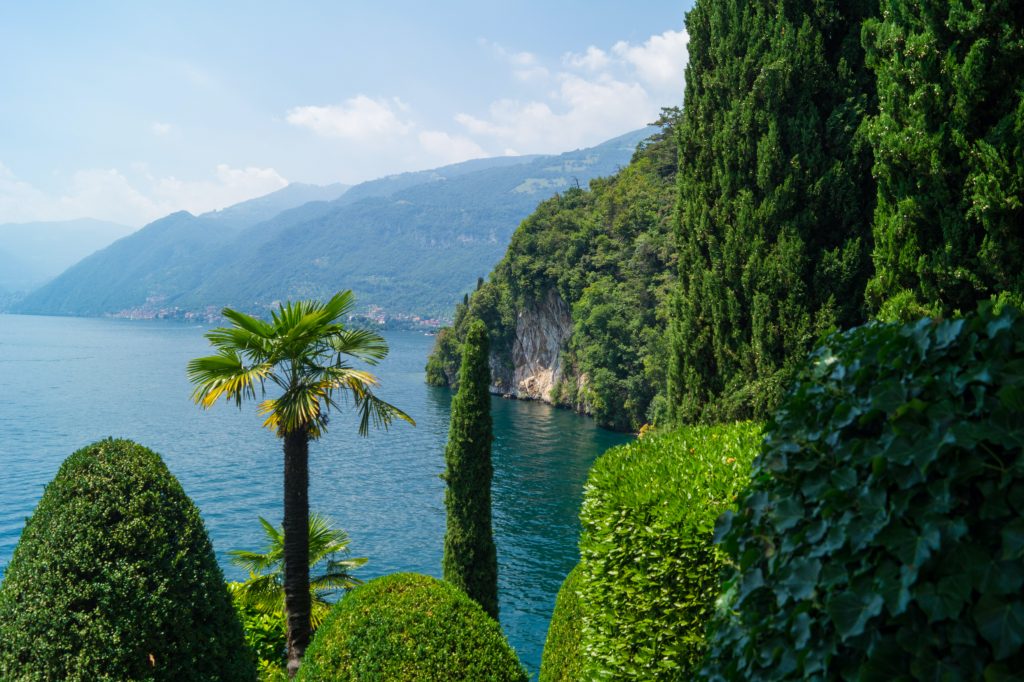 maarten brakkee 8Uk9OZ7DGsw unsplash