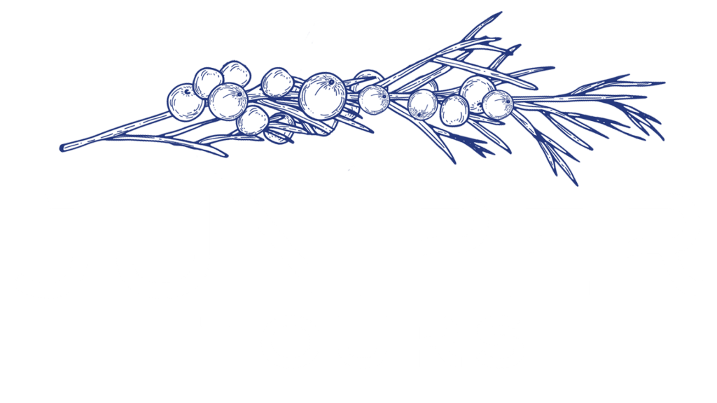 new draft logo