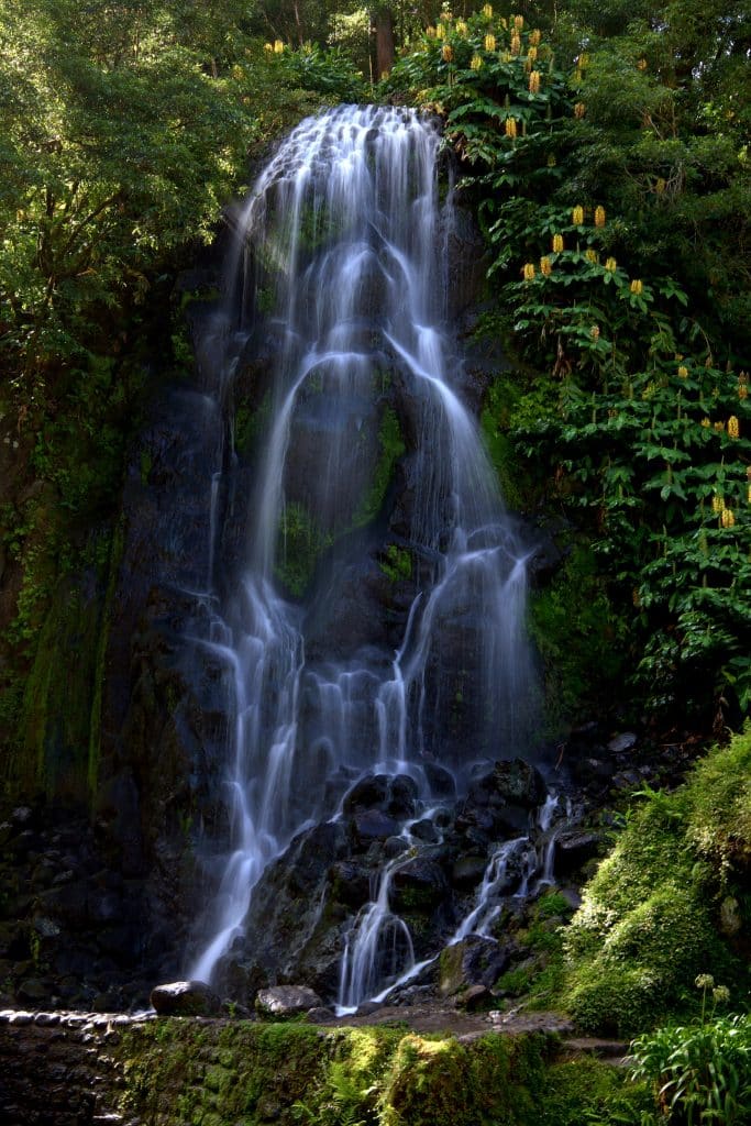 kalyan mukherjee 2wQzzXBXmmw unsplash
