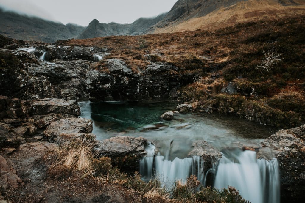 sheng l sYgN5xdx5 4 unsplash