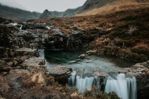 sheng l sYgN5xdx5 4 unsplash