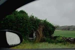 Overgrown Stone House in County Galway, Ireland.