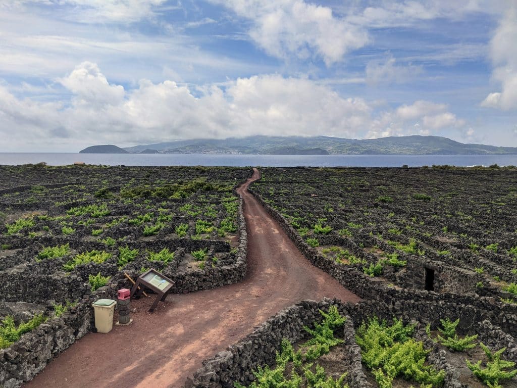 Pico Island, Portugal