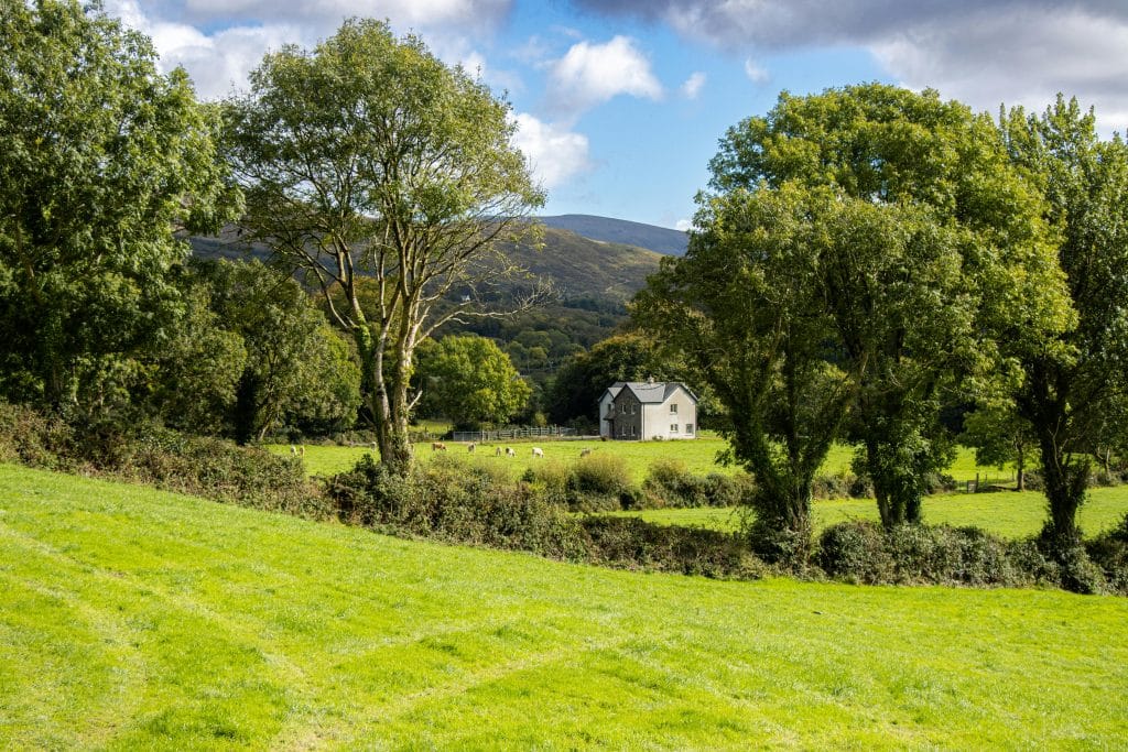 Scenic Countryside Landscape in Kenmare, Ireland