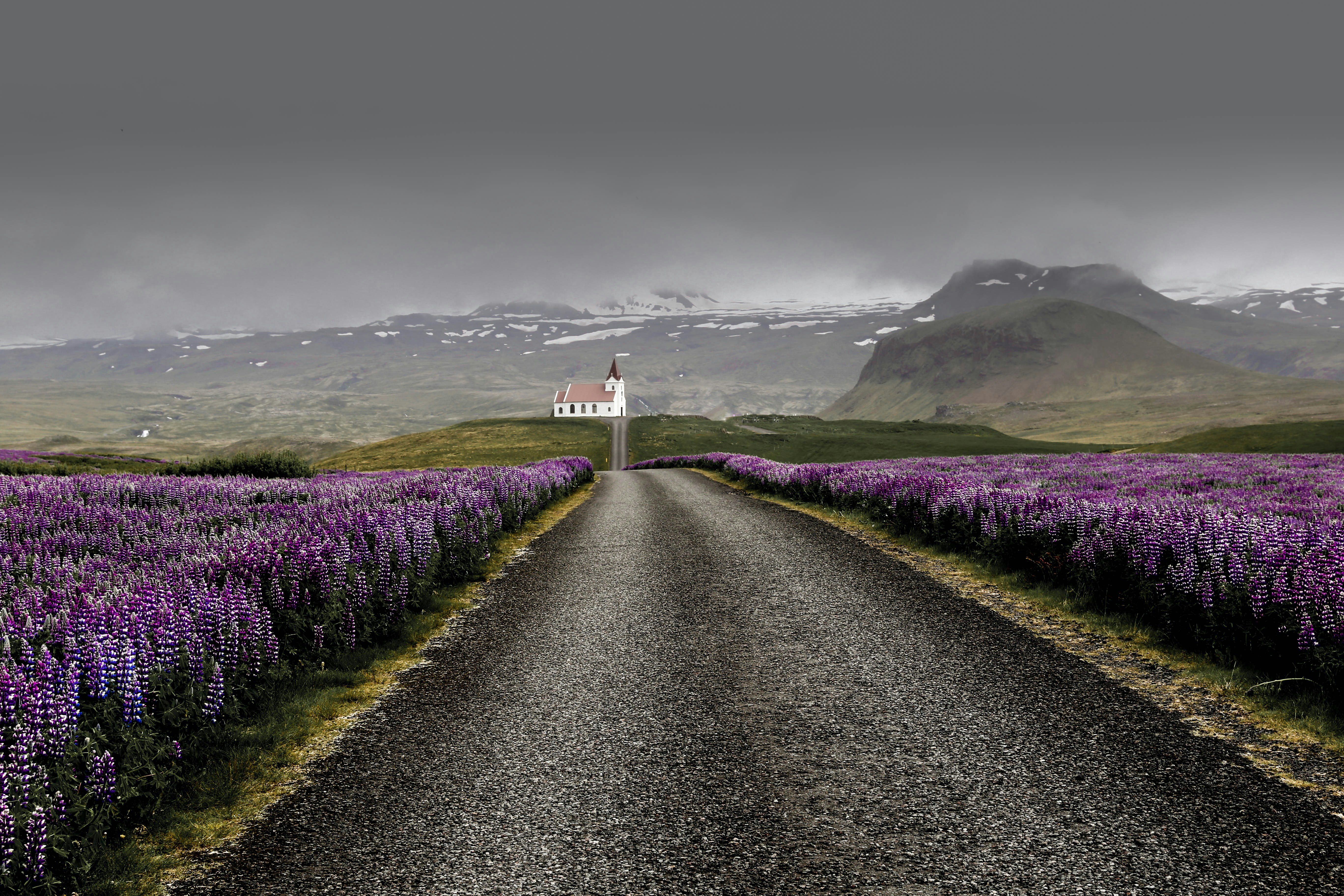 A gravel road lined with purple lupine flowers leads to a white church with a red roof, set against misty mountains and a cloudy sky—an enchanting scene perfect for those seeking Spain and Portugal Honeymoon Packages.