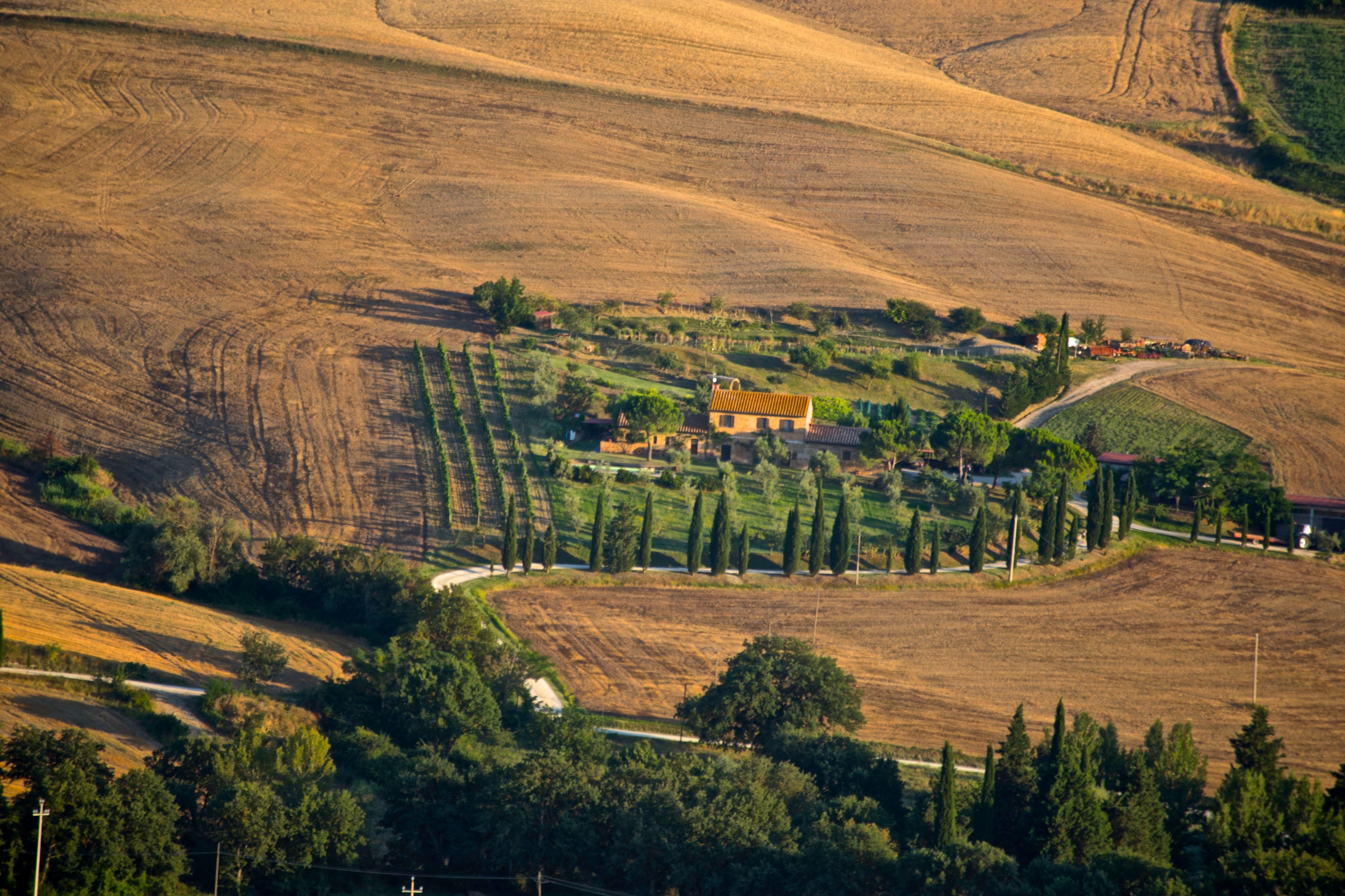 A rural farmhouse surrounded by trees, vineyards, and rolling golden fields, with a winding road leading to the property in a sunlit countryside landscape.